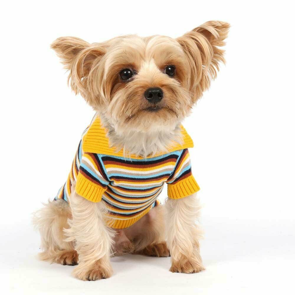 Moderner Hundepullover aus Wolle von DoggyDolly Hundebekleidung