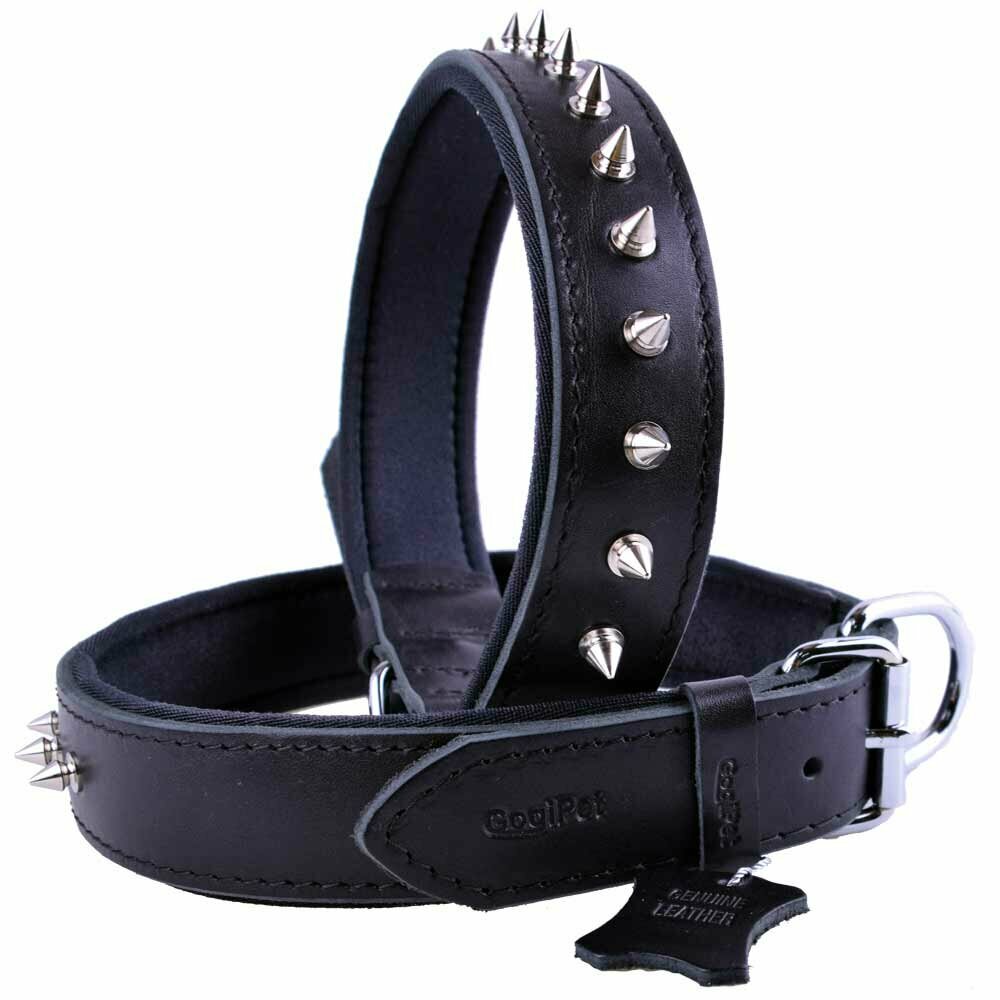 Spike Lederhundehalsband 70 cm schwarz