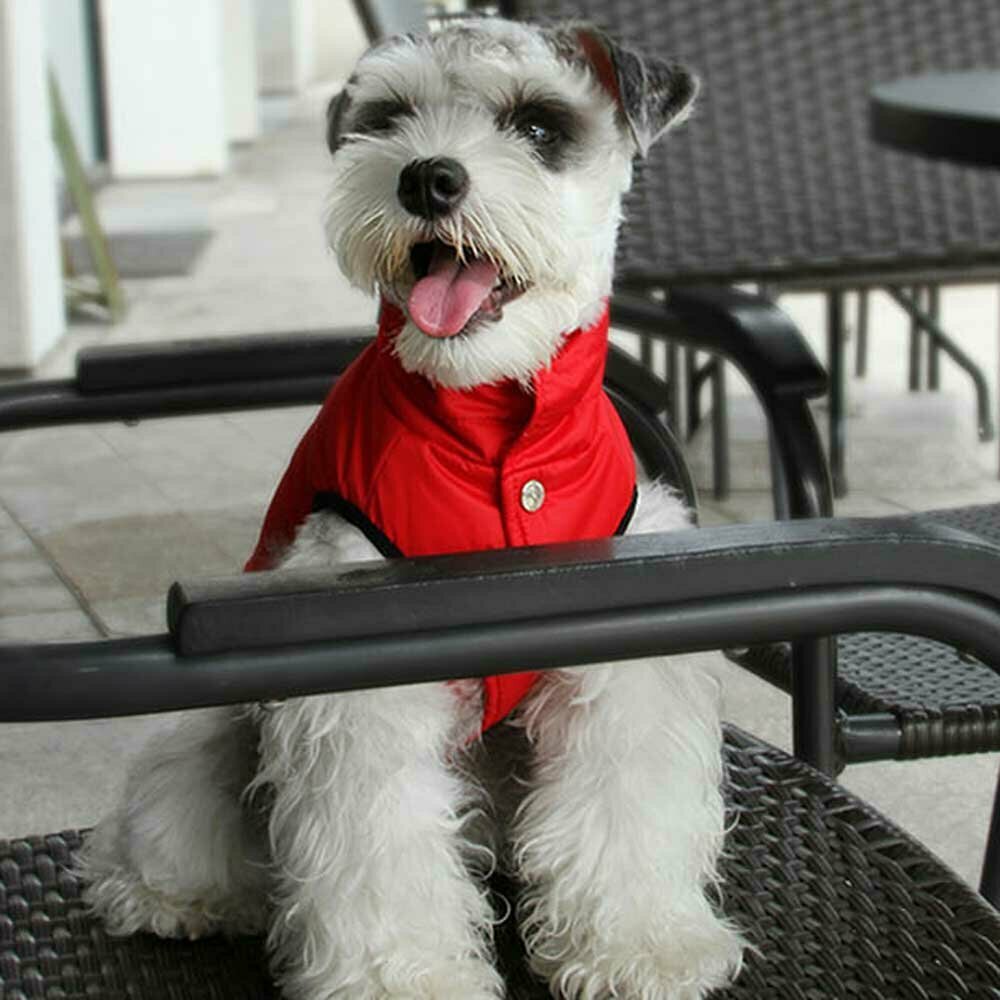 Roter Parka für Hunde - warme Hundebekleidung