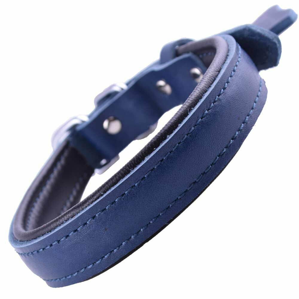 GogiPet ® Soft Lederhundehalsband blau mit 45 cm