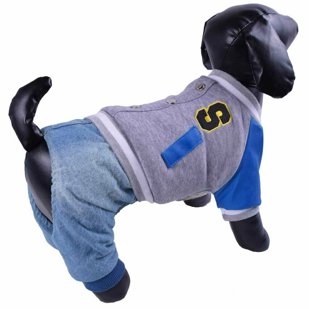 Warmer Hundeeinteiler mit Lederärmel grau blau