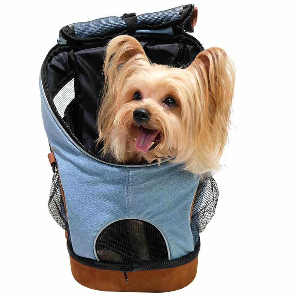 Hunderucksack für kleine Hunde bis 6 kg