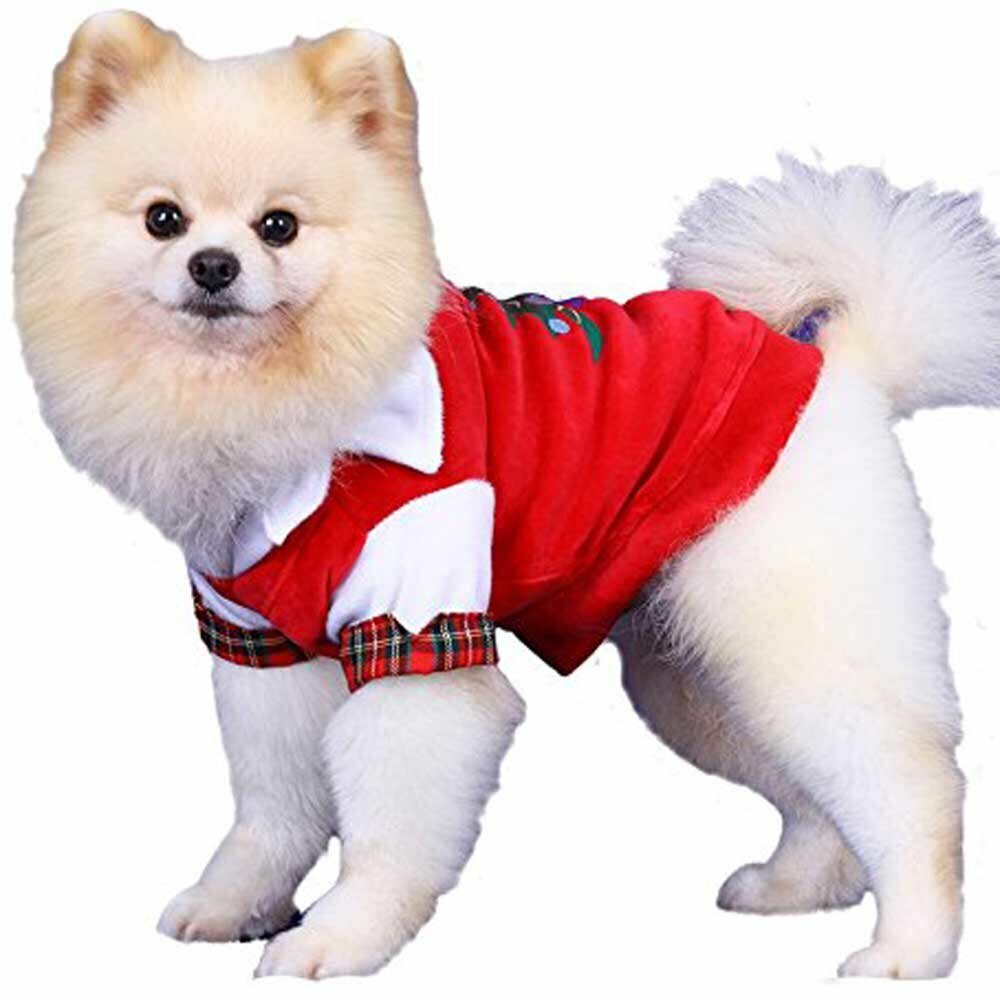 Weihnachtsbekleidung für Hunde von DoggyDolly
