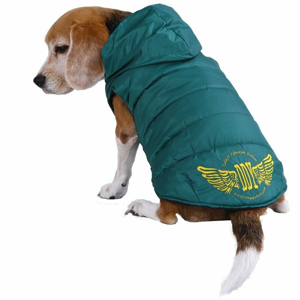 Die warme Bekleidung für Hunde von DoggyDolly Hundemoden