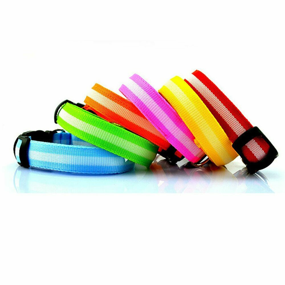 Blinkende Hundehalsbänder und leuchtende Hundehalsbänder mit sparsamen LEDs
