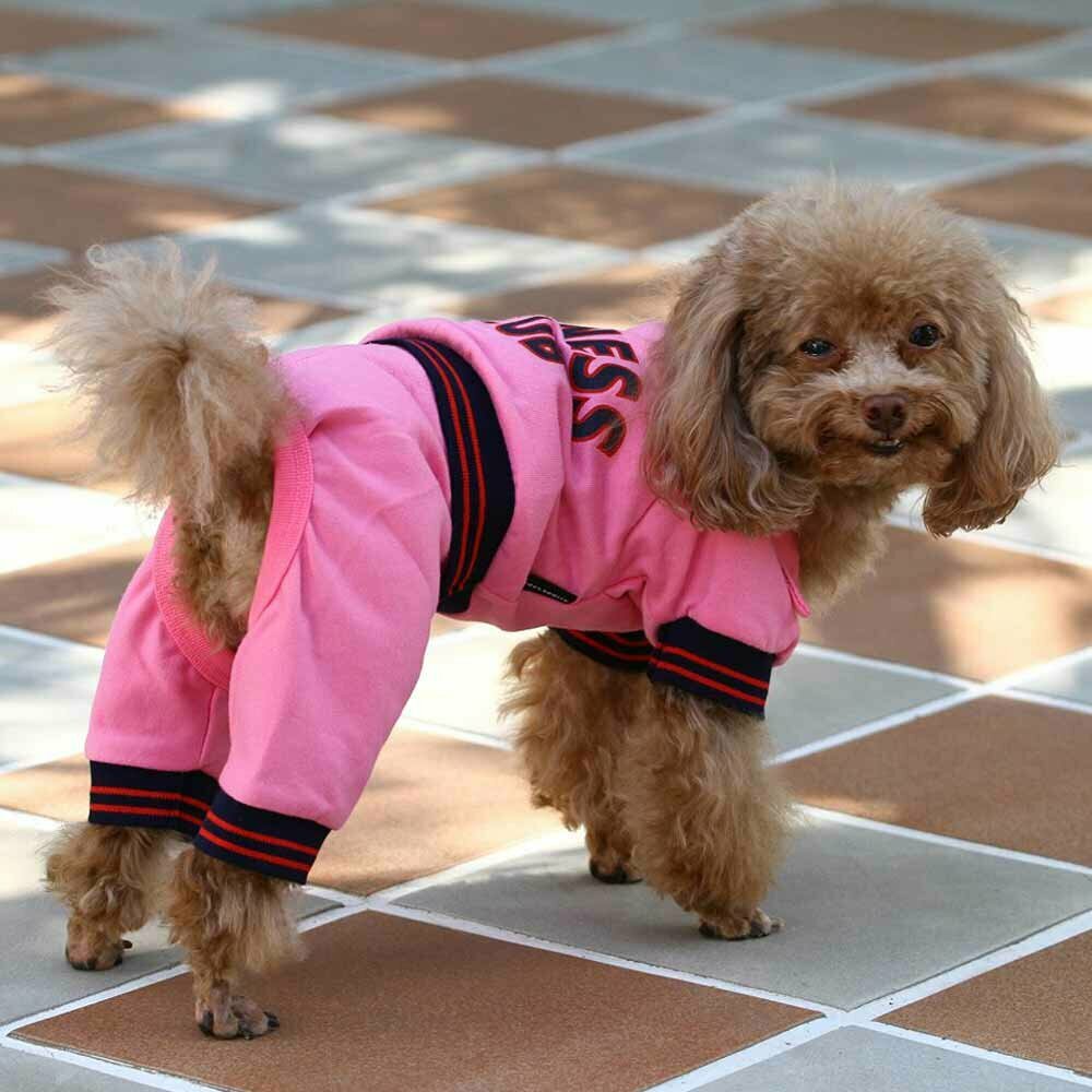 Sportlicher Anzug für Hunde rosa