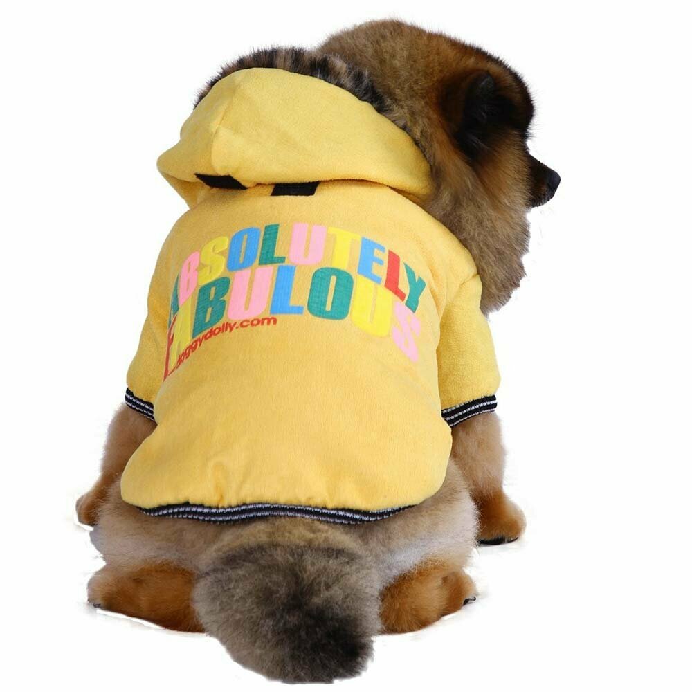 Hundebekleidung - warmer Hundemantel von DoggyDolly W162