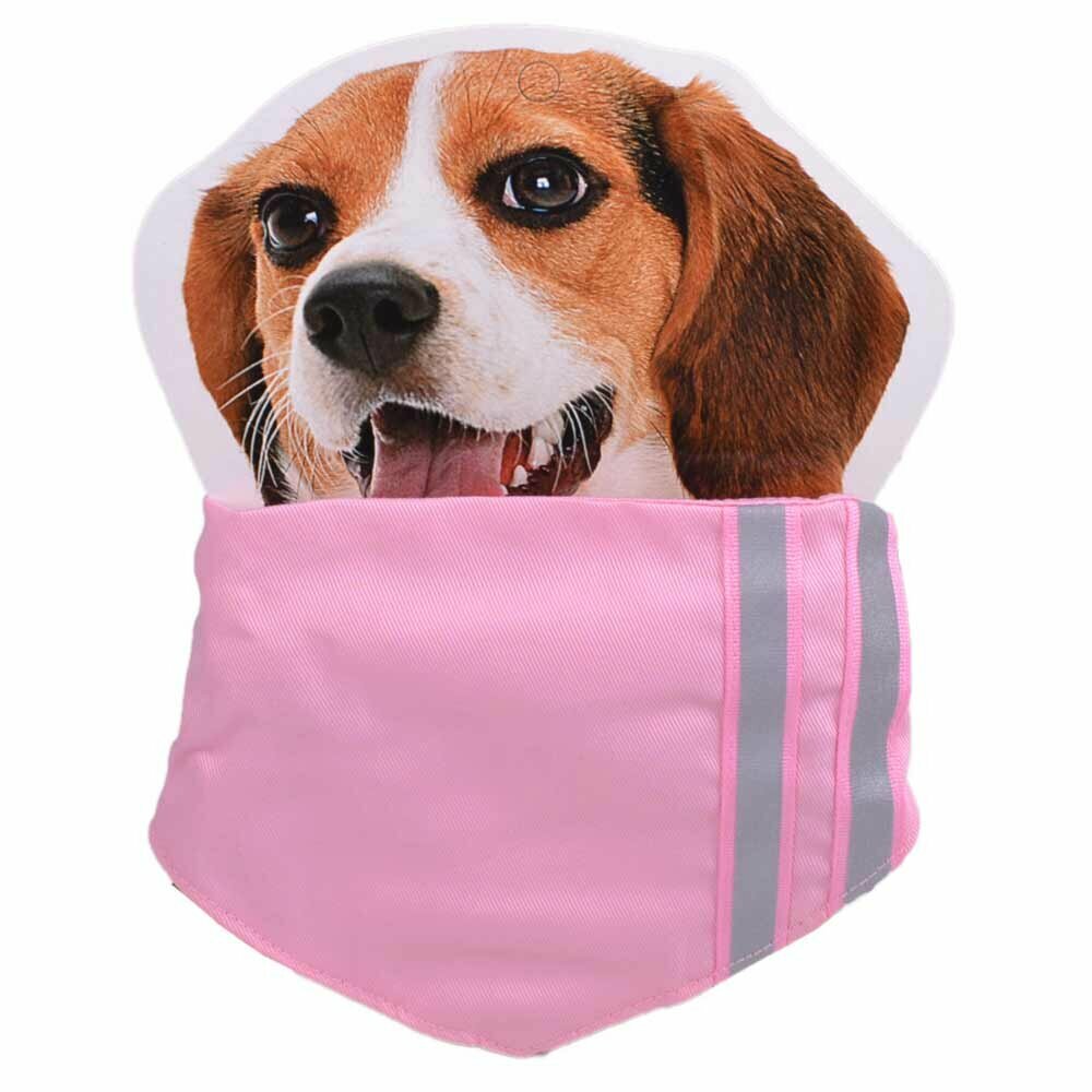 Rosa Hundehalsband mit Reflexionsstreifen und Halstuch