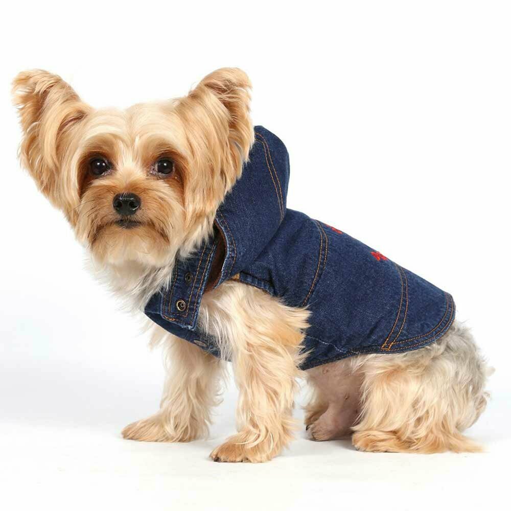 Schöne Hundejacke aus Jeans von DoggyDolly Hundemoden