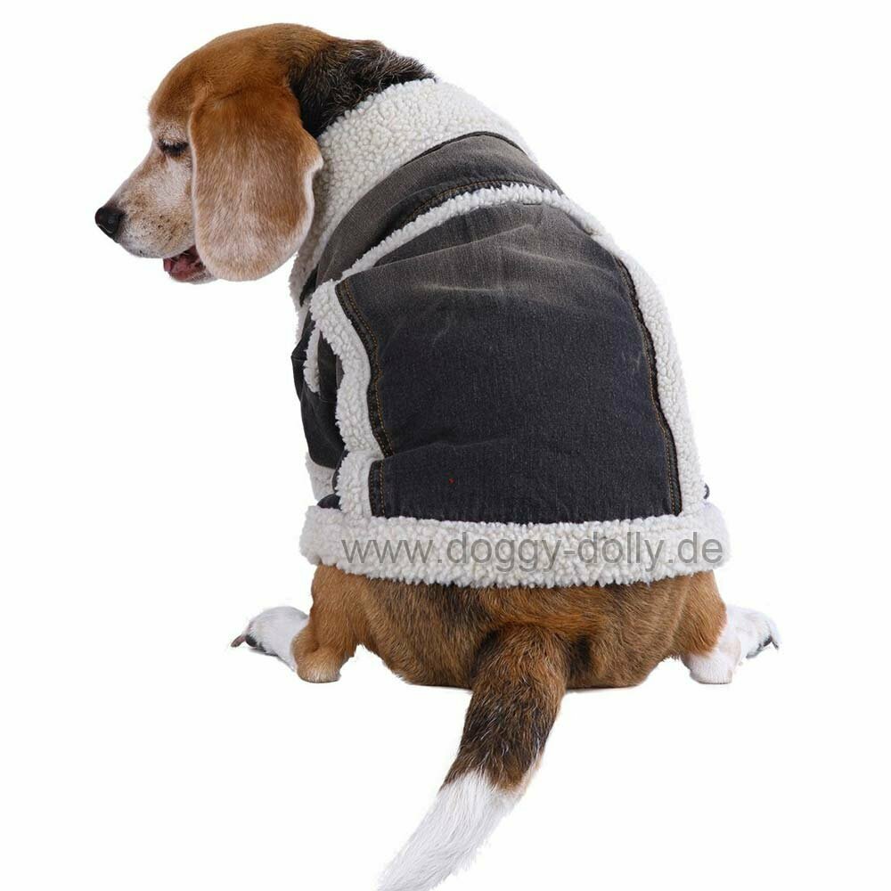 coole Jeansjacke für Hunde mit Fell für den kalten Winter von DoggyDolly W119