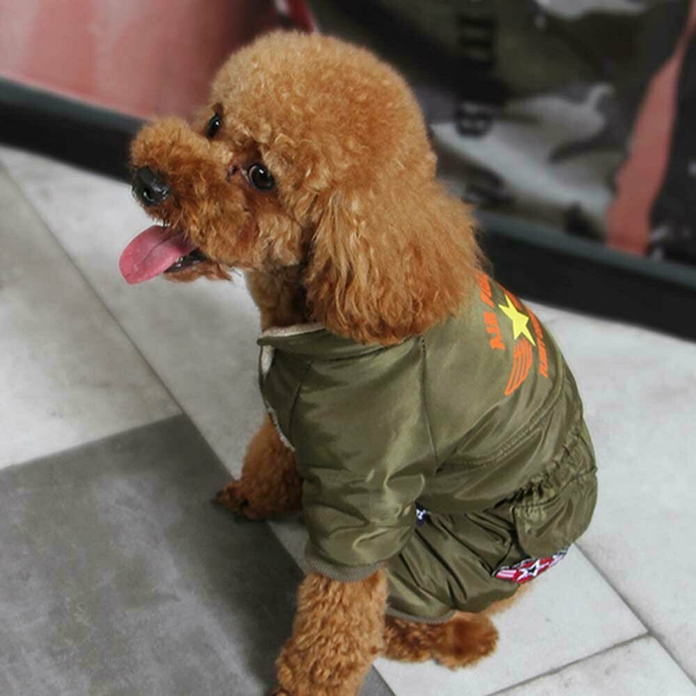 Warme Hundekleidung - Air Force