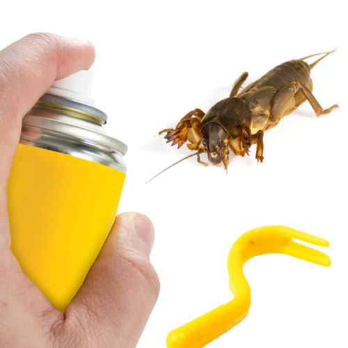 Insektenschutz und Parasitenbekämpfung