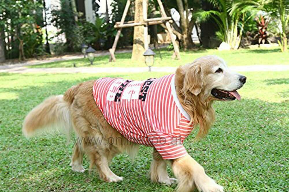 oranges Hunde T-Shirt für große Hunde - coolest dog in the world - www.doggy-dolly.at