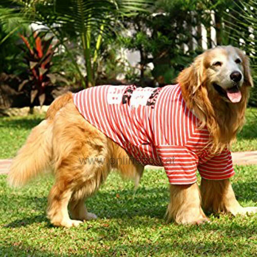 Cooles Dog in the world Hundeshirt von DoggyDolly www.doggy-dolly.de