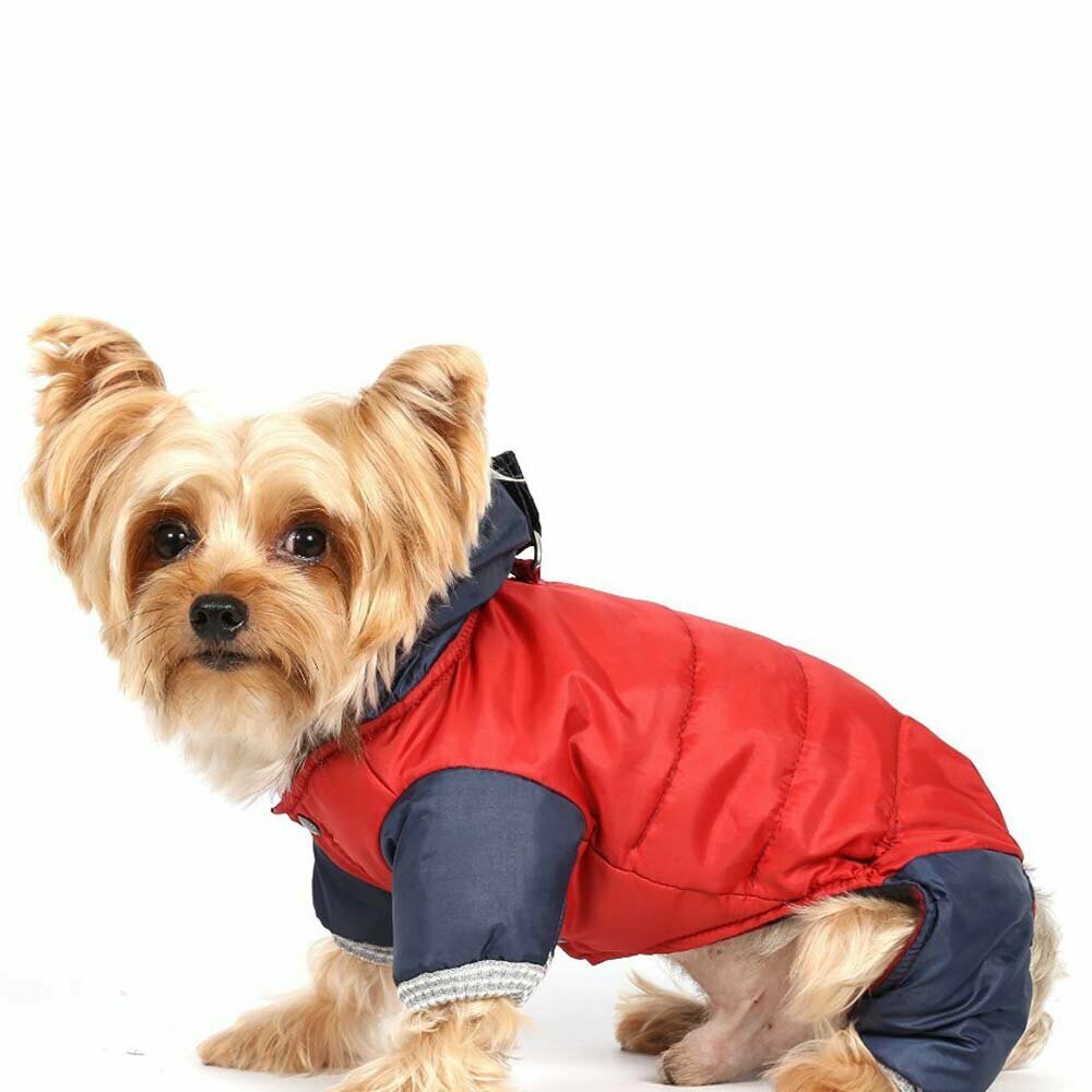 DoggyDolly Hundeanorak rot mit blauen Pfoten und blauer Kapuze - Schneeanzug für Hunde -  Hundekleidung