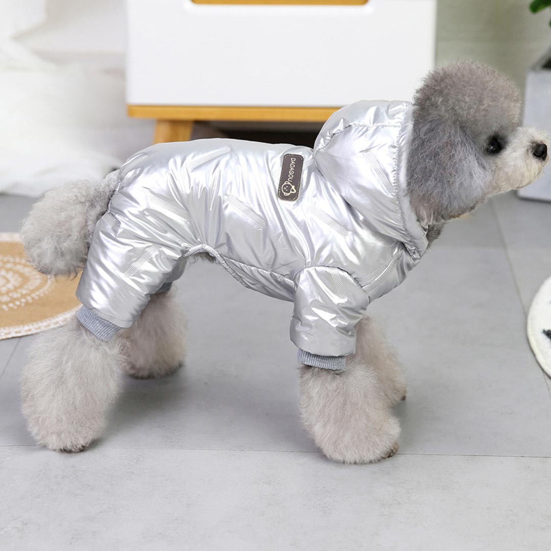 Warmer Hundeschneeanzug - Hoodie "Moonwalk" silber Hundeanorak