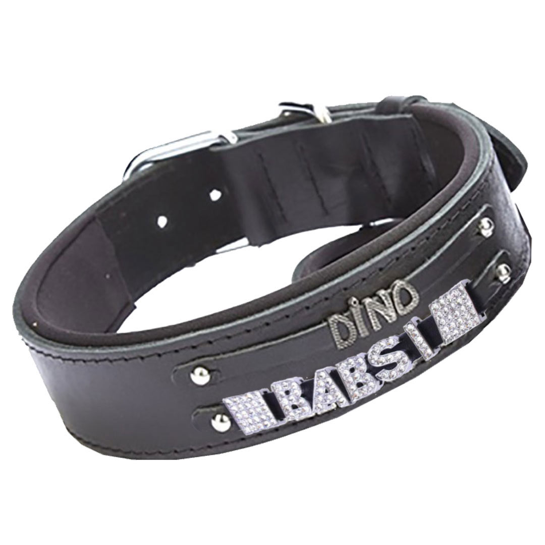 Leder Hundehalsband schwarz als Namenshalsband oder Nummernhalsband für Metallmotive und Strassmotive