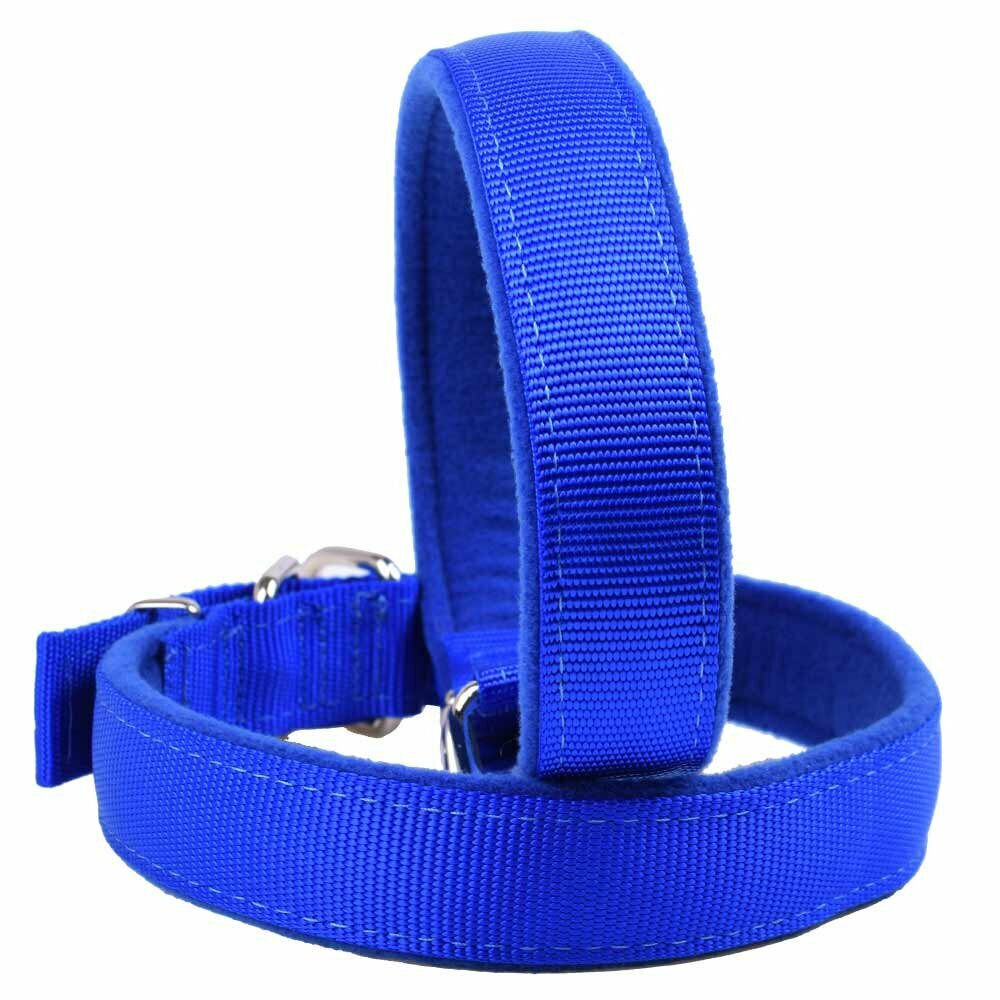 Weiche blaue Hundehalsbänder für kleine Hunde und große Hunde