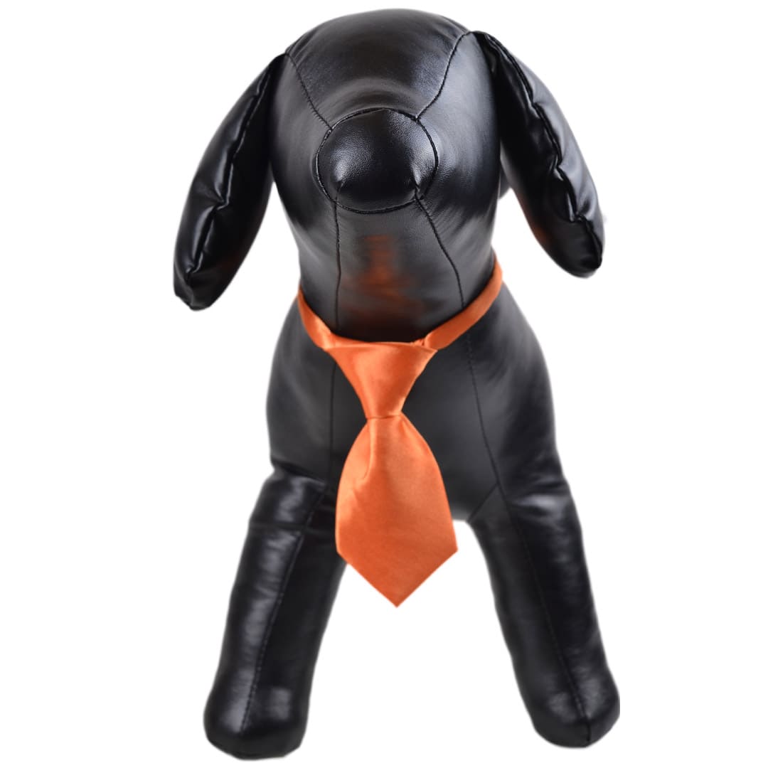 Orange Krawatte für Hunde