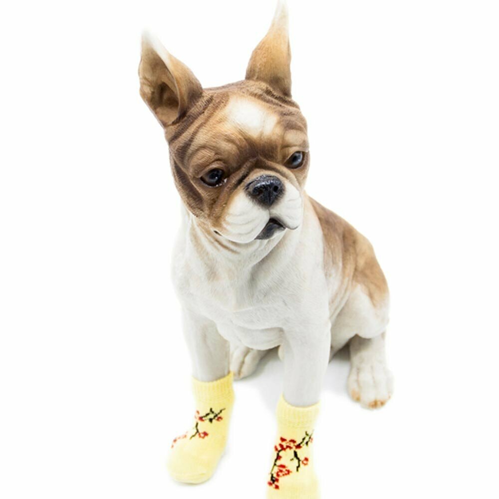Hochwertige Hundesocken von GogiPet gelb
