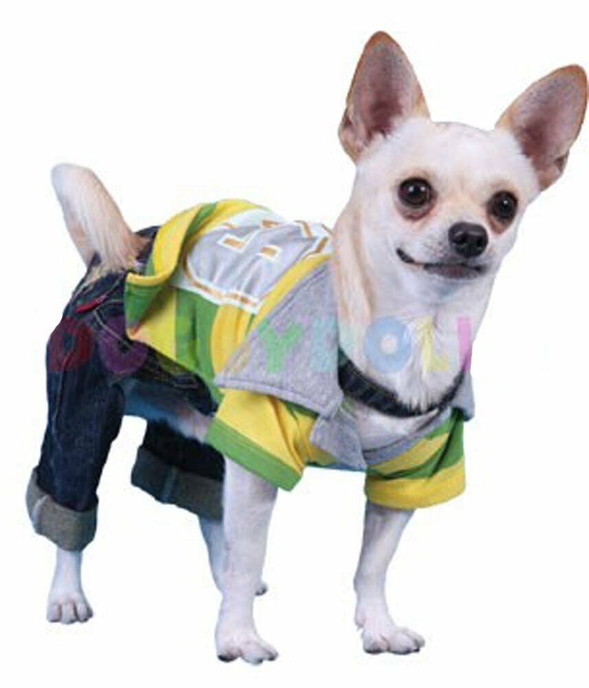 Süßes Poloshirt für Hunde - Hundebekleidung mit Bestpreisgarantie