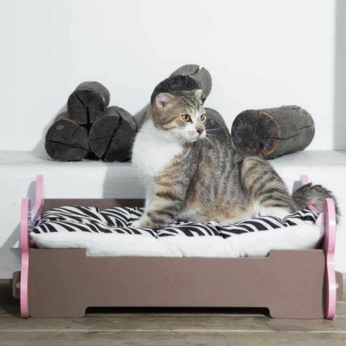 Katzenmöbel und Katzenbetten