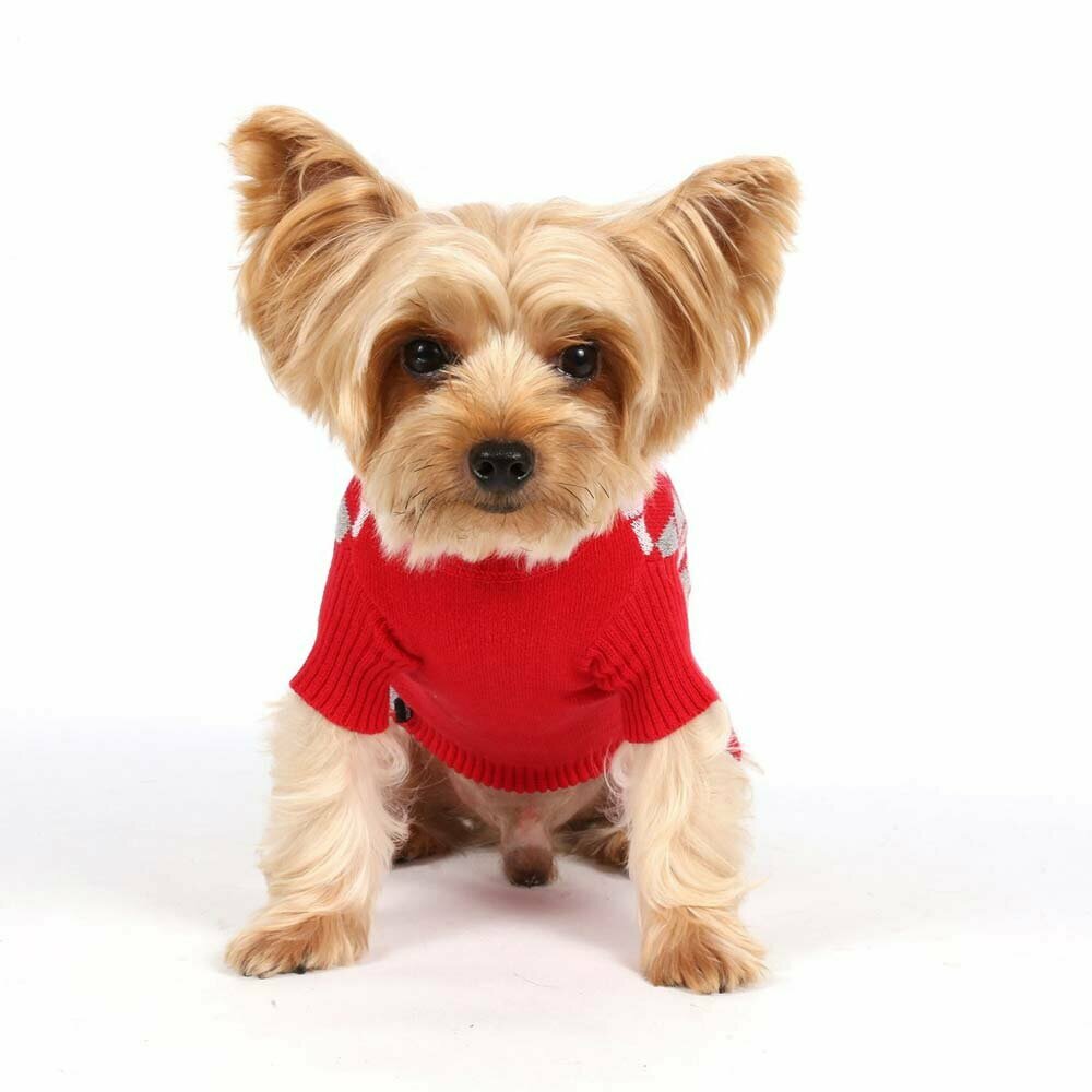 Rot karierter Sweater für Hunde