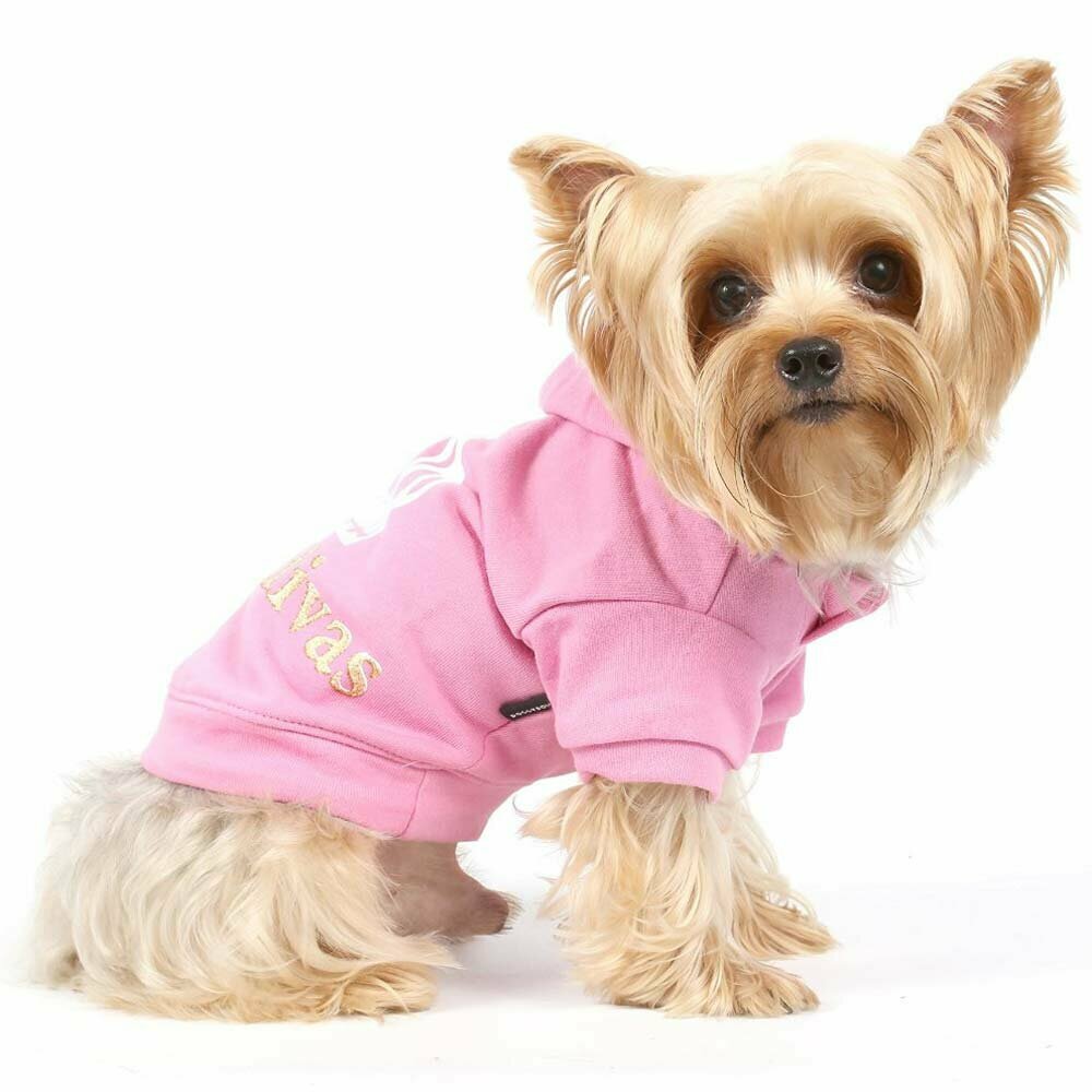 Warmer Hundepullover Royal Divas Pink