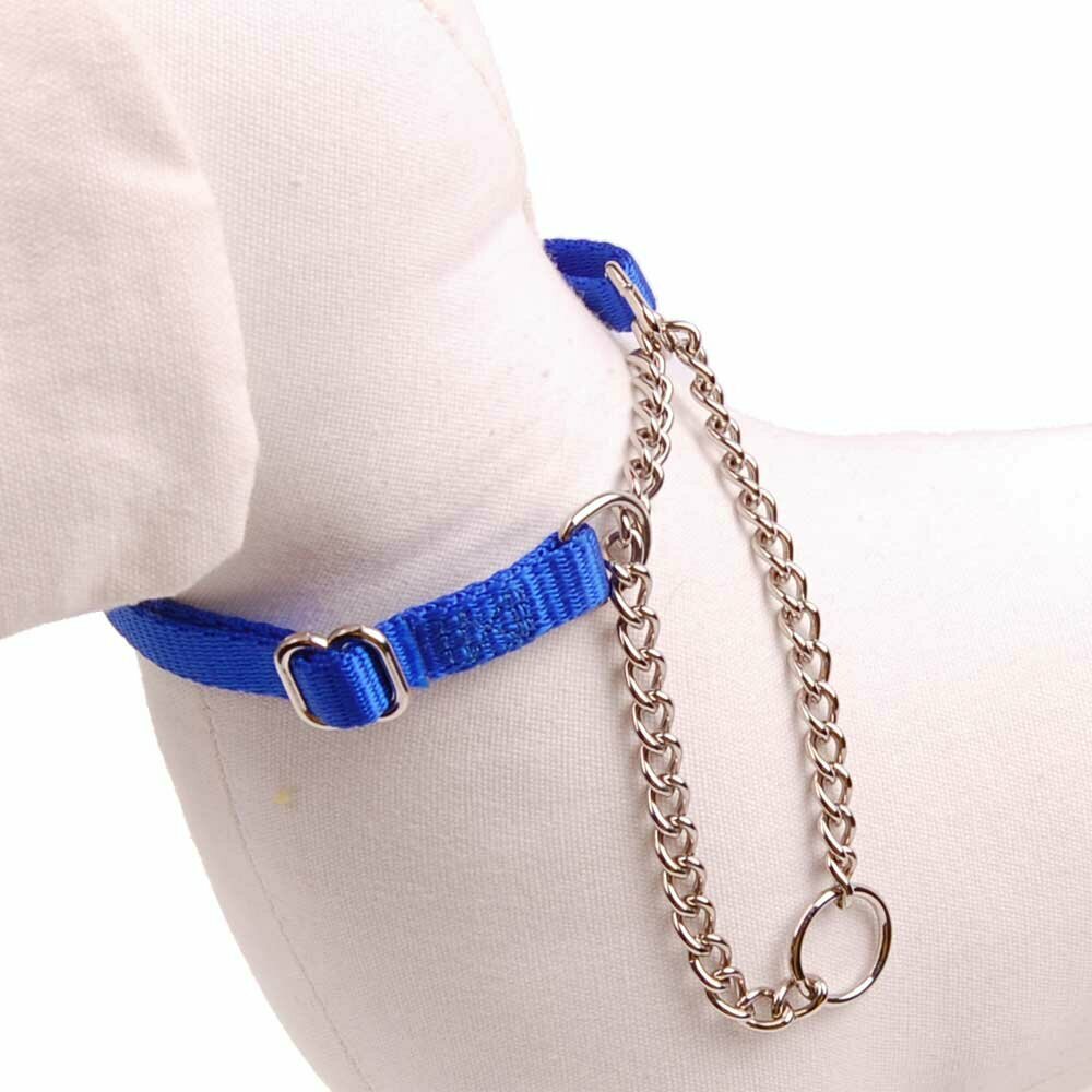 blaues Hundehalsband - Zughalsband