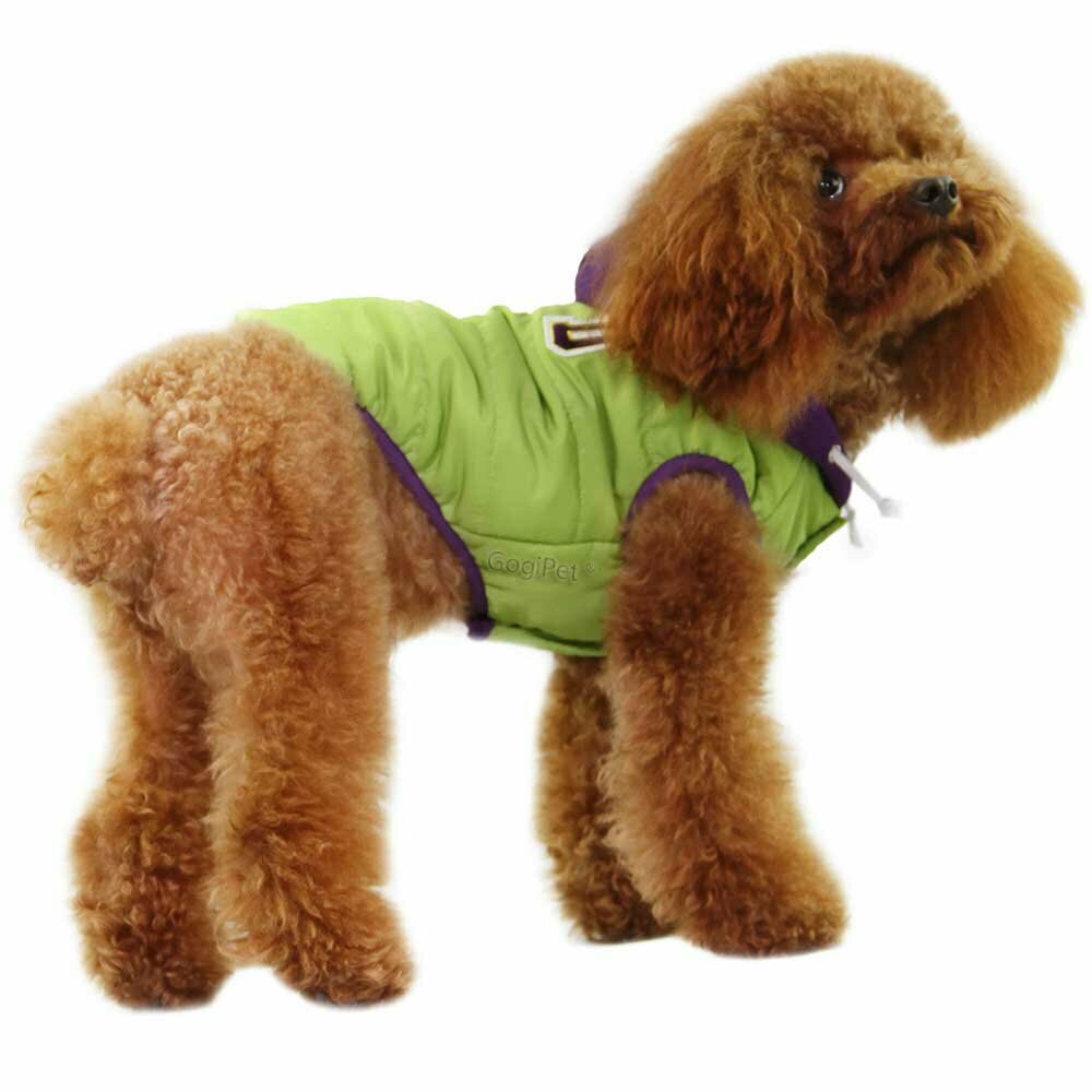 GogiPet ® Hundeanorak hellgrün für den Winter