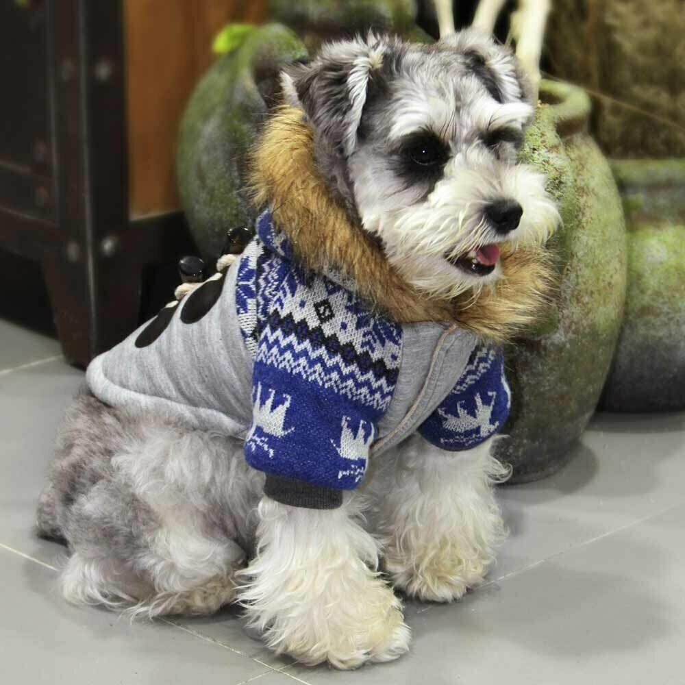 Günstig Hundebekleidung kaufen von GogiPet bei Onlinezoo