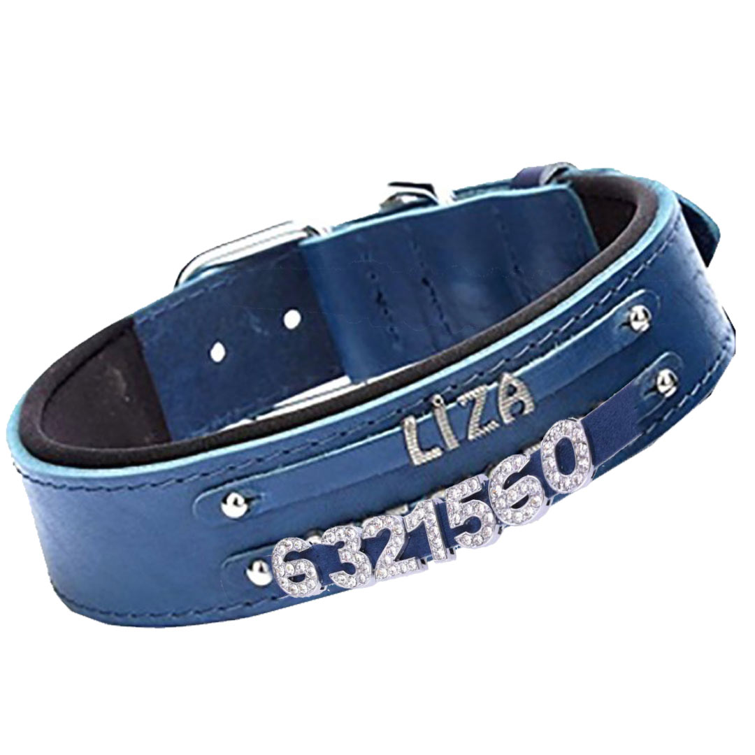 Leder Hundehalsband blau als Namenshalsband oder Nummernhalsband für Metallmotive und Strassmotive