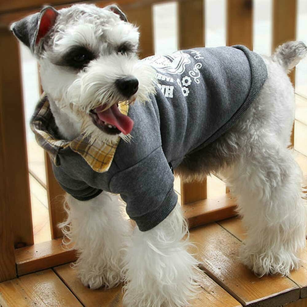 Pullover für Hunde grau aus warmen Fleece