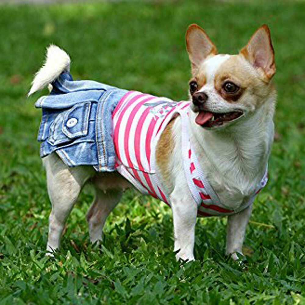 Marken Hundebekleidung günstig kaufen bei Onlinezoo