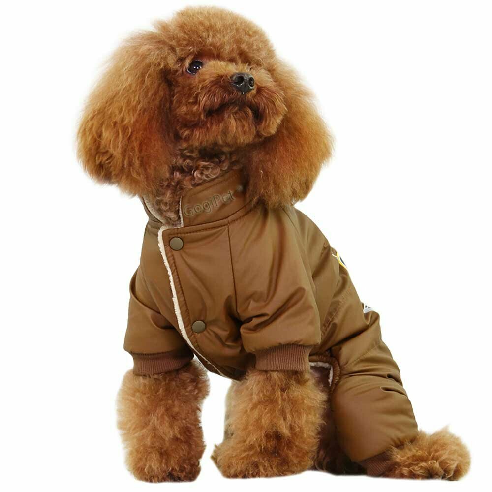 Brauner Schneeanzug für Hunde Professional Stars - Hundebekleidung