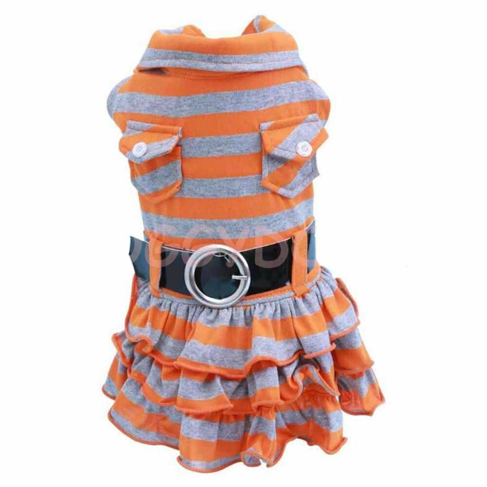 Oranges DoggyDolly Teeny Hundekleid - Hundebekleidung Abverkauf