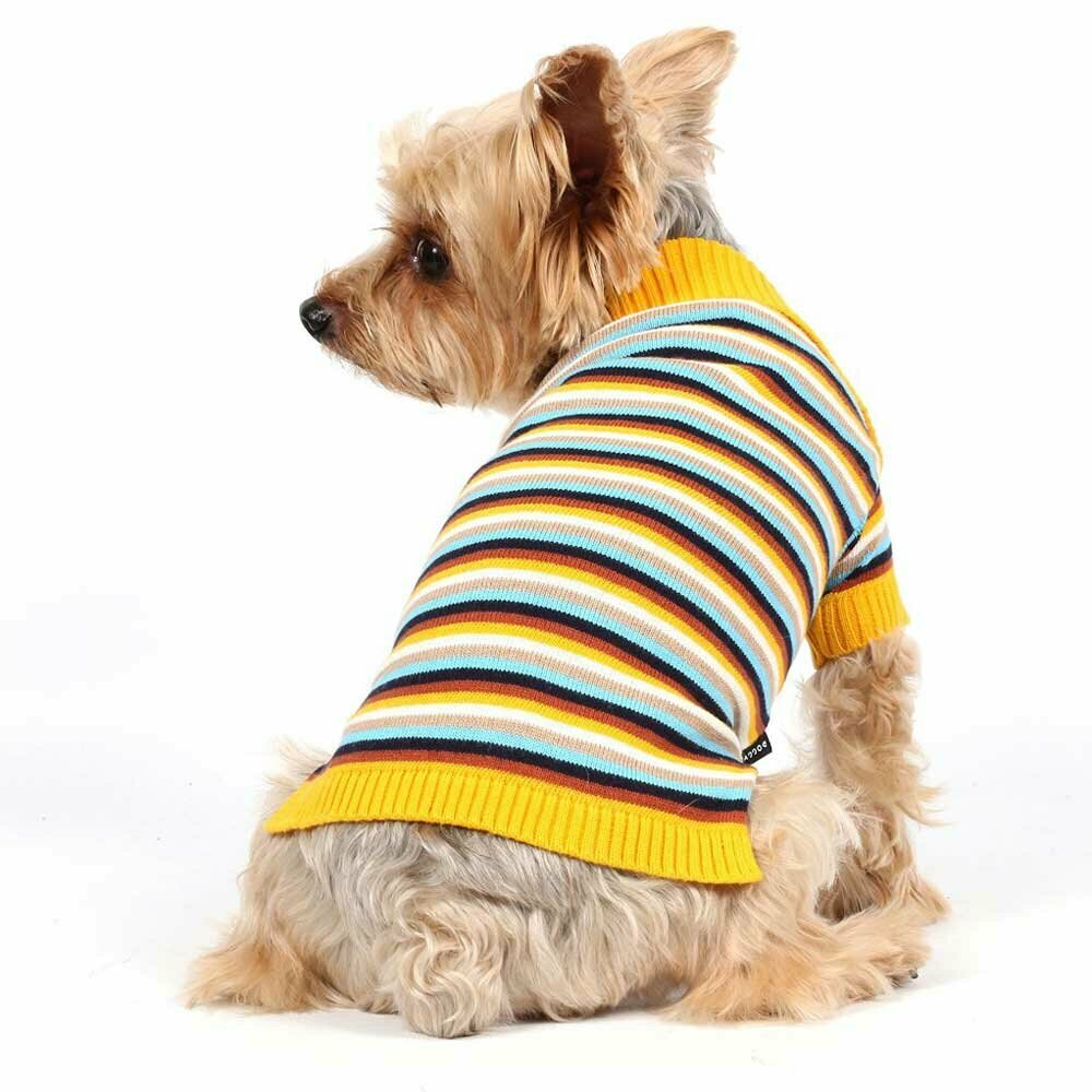 Hundepullover aus Wolle - warme Hundebekleidung für den Winter von DoggyDolly