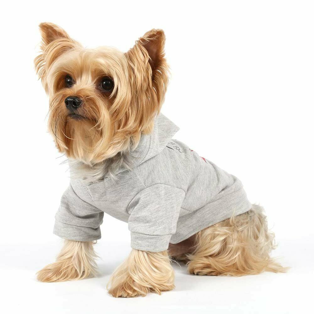 Modischer grauer Hundepullover von DoggyDolly für den Winter