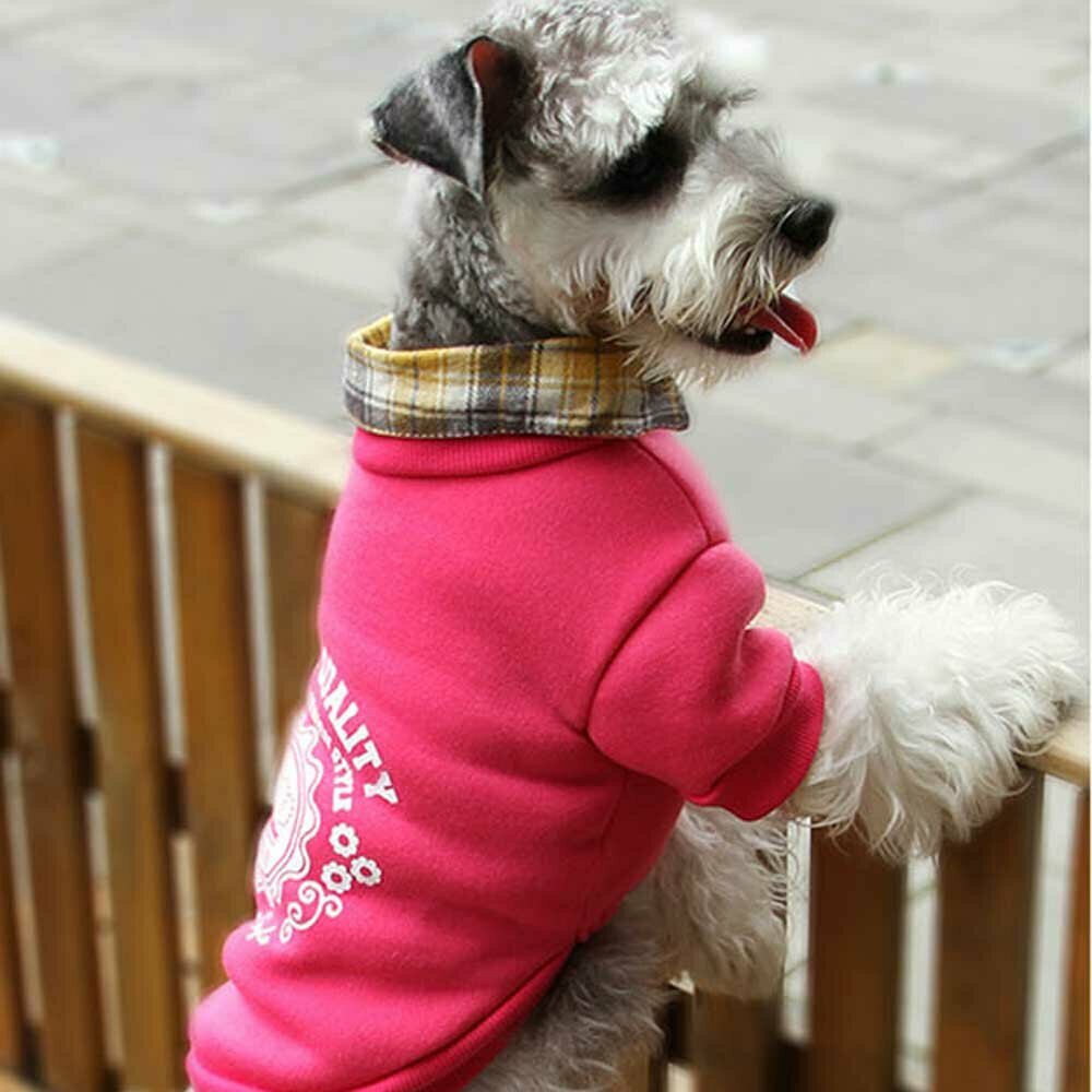 Pullover für Hunde rosa