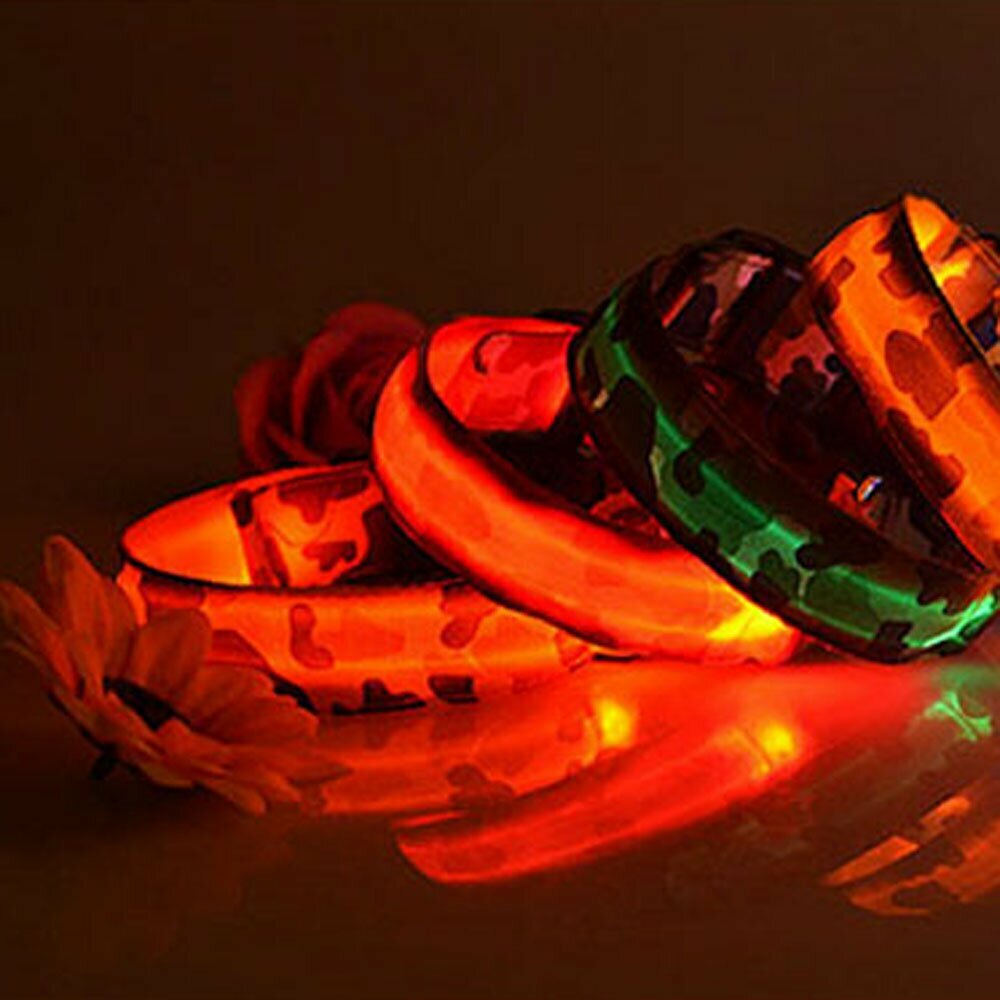 Leucht Hundehalsbänder für die dunkle Jahreszeit und für den Abendspaziergang