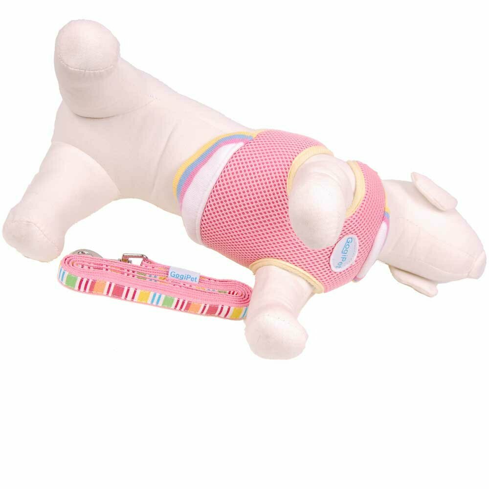 Pinkfarbenes Brustgeschirr und Leine für Hunde L von GogiPet ®
