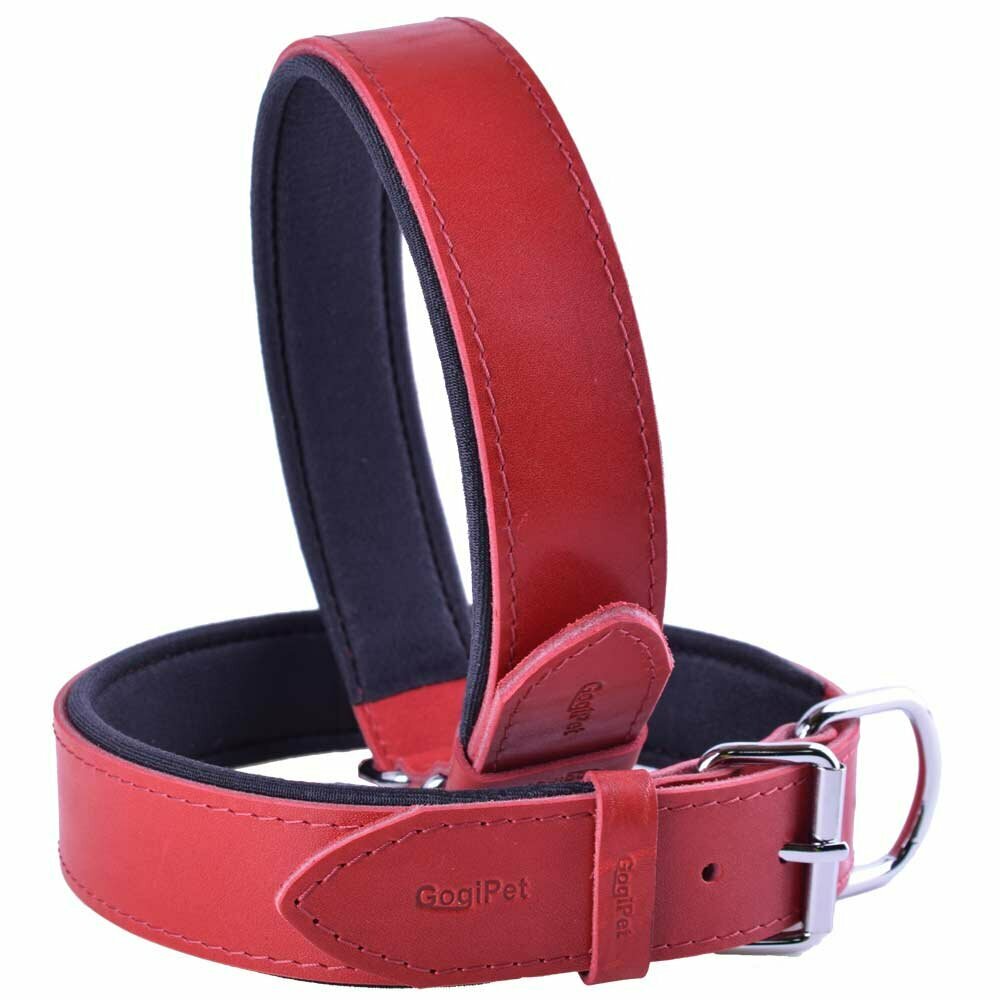 Rotes Hundehalsband aus echtem Leder