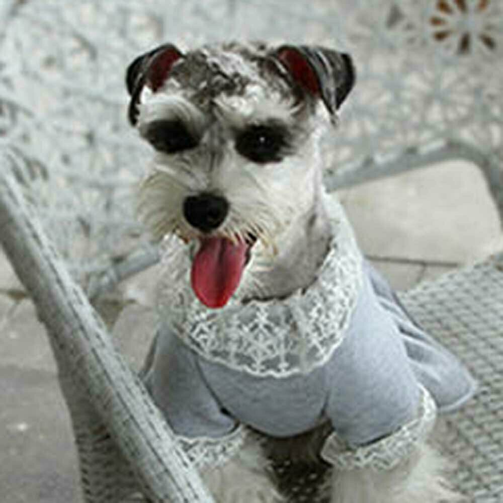Winterkleid für Hunde - warmes Hundegewand