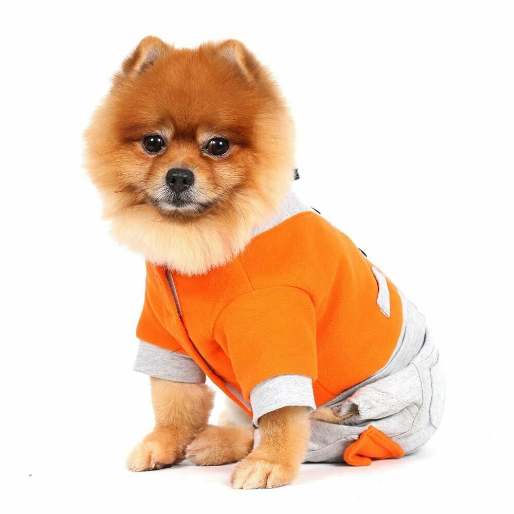 Warmer Hundemantel orange in Form eines Anzuges