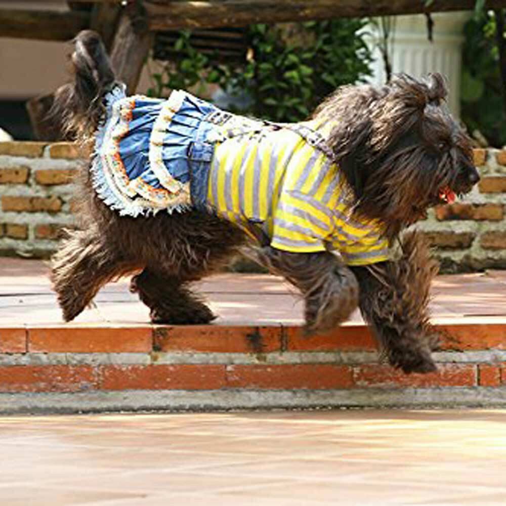 Hundebekleidung günstig bei Onlinezoo