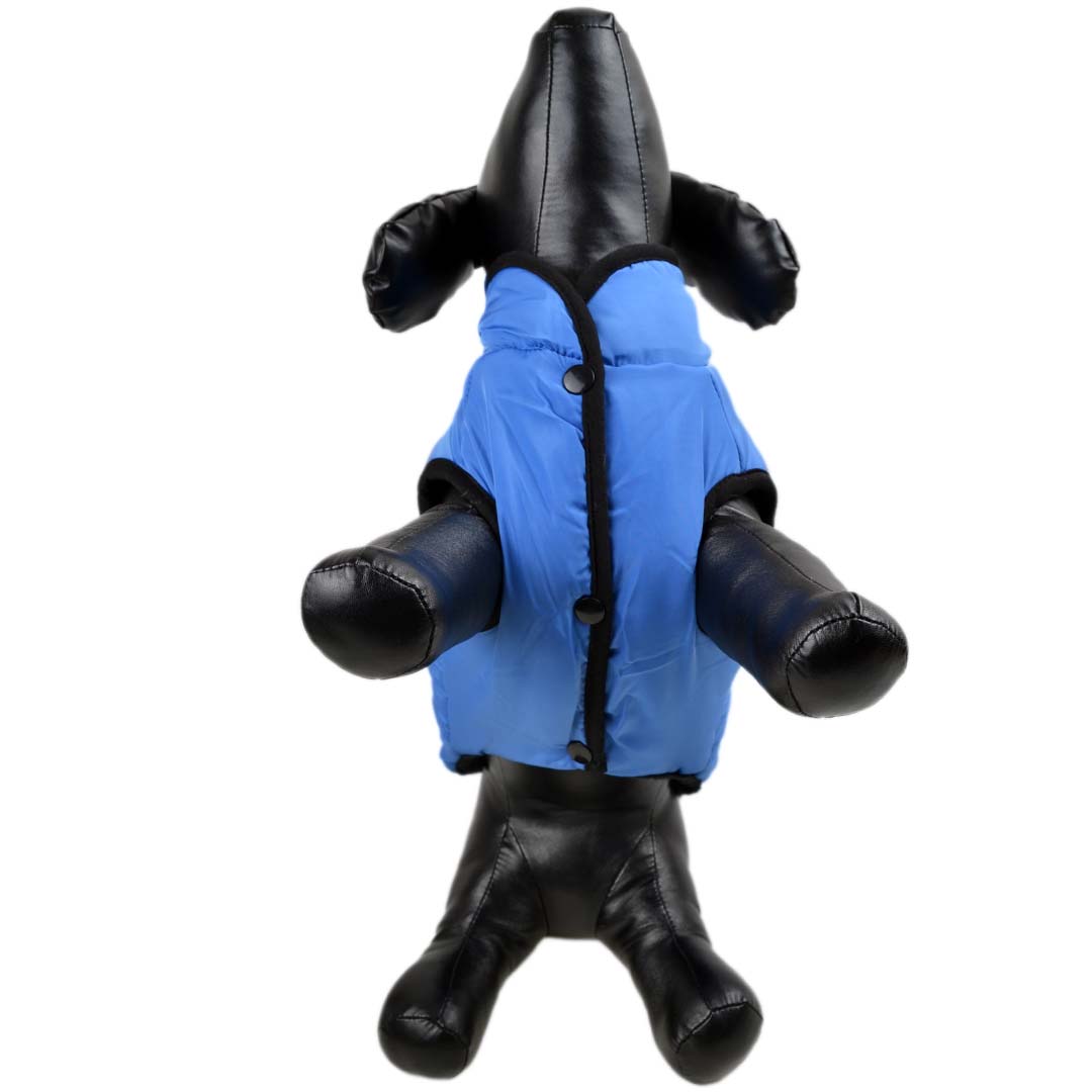 warme Hundebekleidung - blauer Hundeanorak