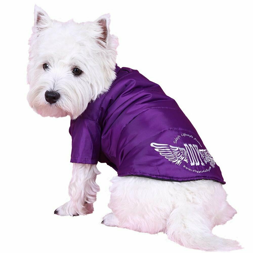 Schöner Hundeanorak lila - warme Hundebekleidung