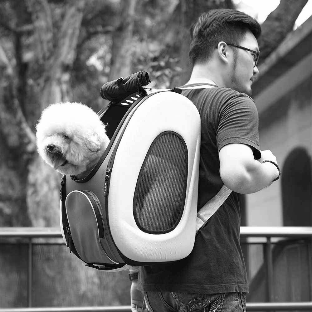 Hunderucksack mit Hundetrolleyfunktion