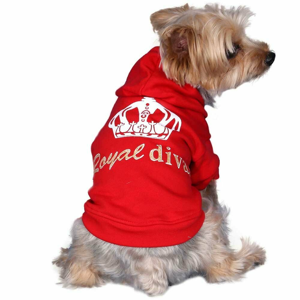 Warmer Hundepullover für den Winter rot bei Onlinezoo.at