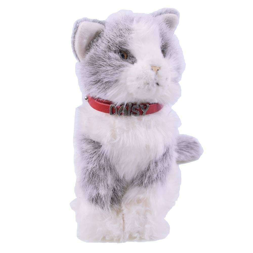 Wunderschönes Halsband für Katzen und kleine Hunde für Namen und Nummern